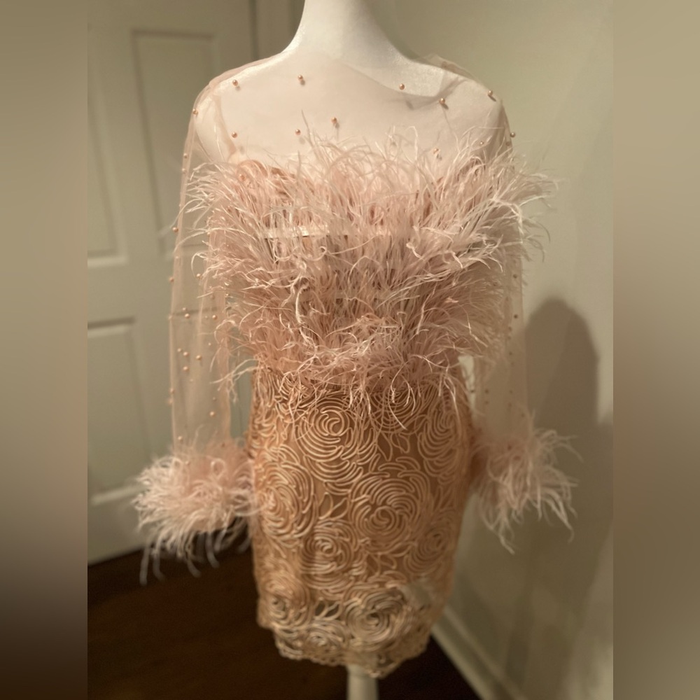 Baby pink & Gold feather dress with mesh sleeves